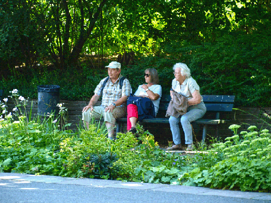 Jahresausflug Cottbus/Spreewald/Berlin 2015